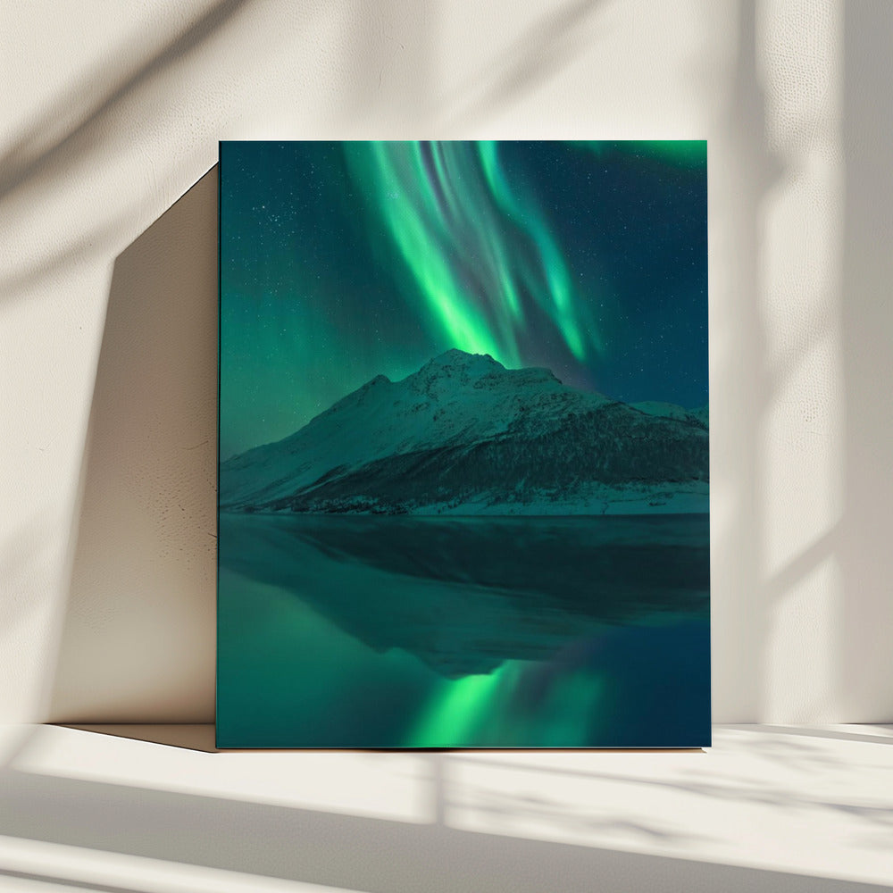 Reflecting Fairy | Canvas