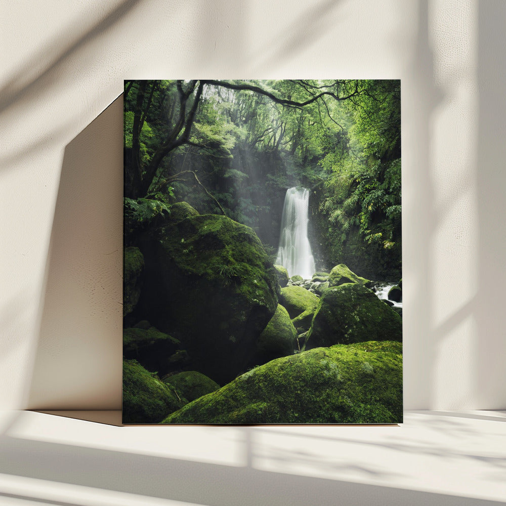 Mystic Falls | Canvas