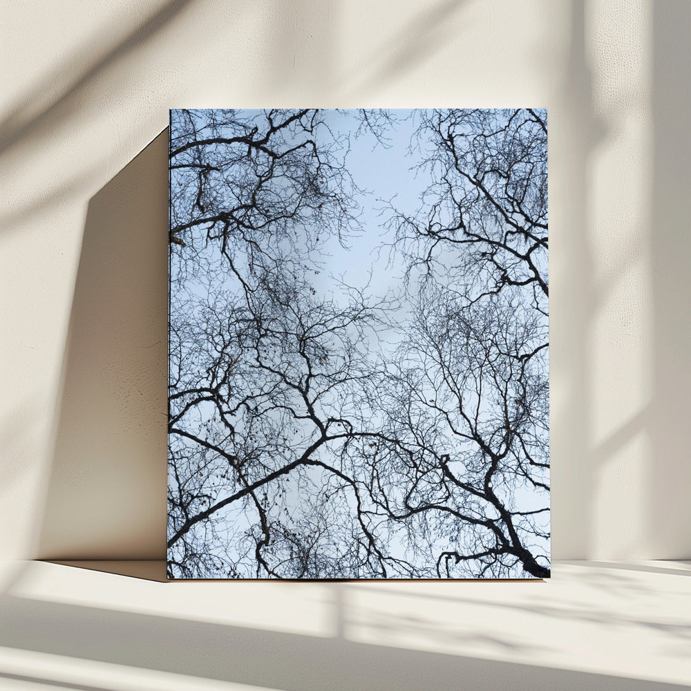 Abstract Tree | Canvas