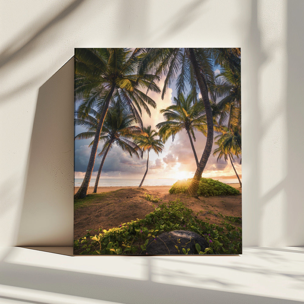 Vertical Paradise | Canvas