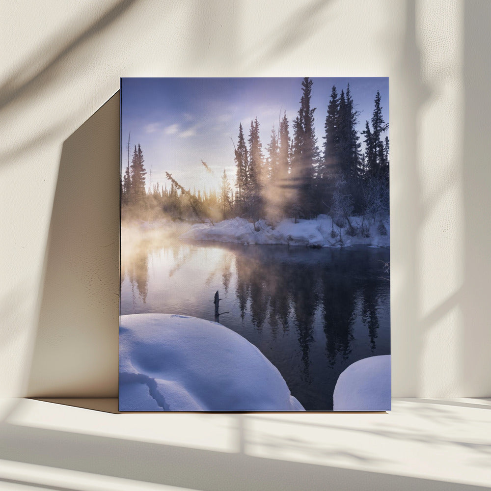 Alaskan Winter | Canvas
