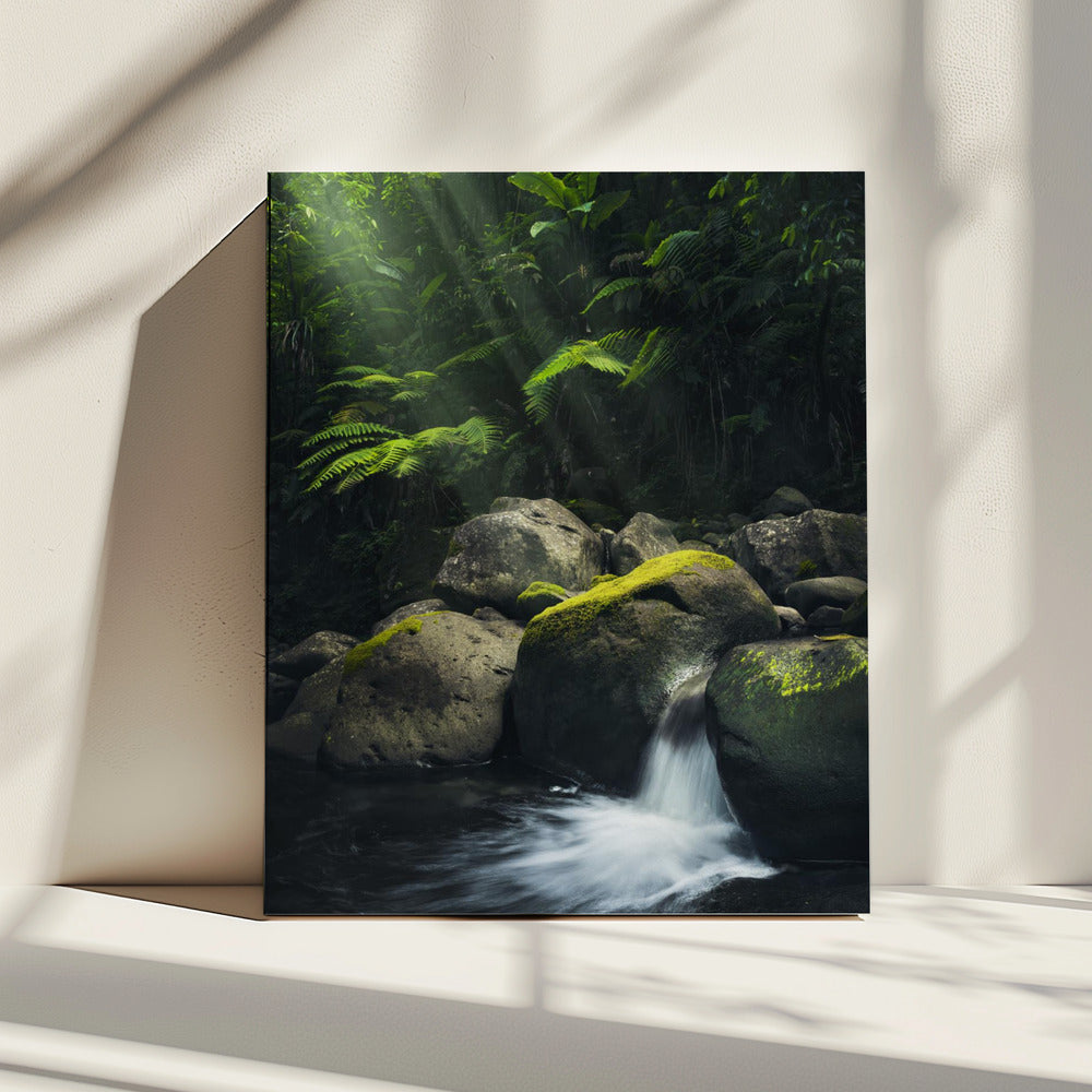 Mystic Jungle | Canvas