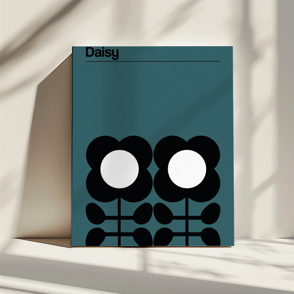 Daisy Teal | Canvas
