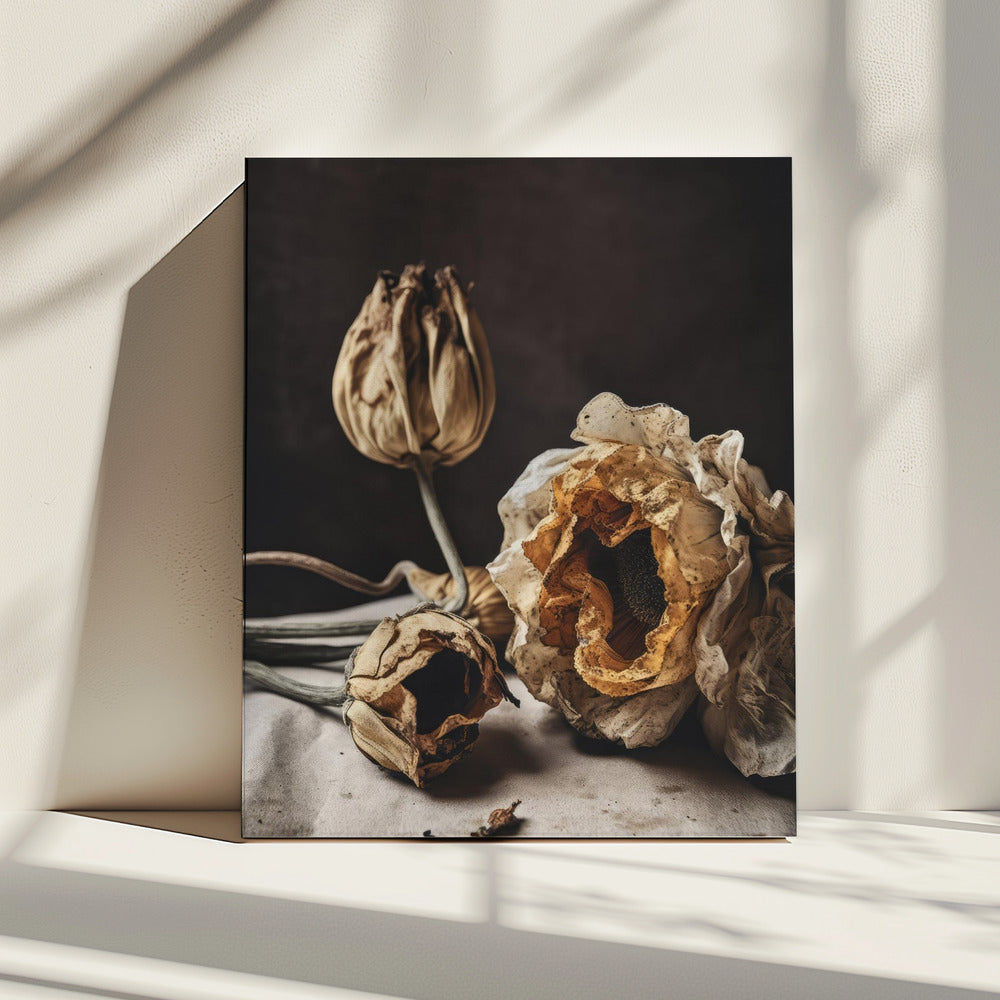 Whispers of Decay | Canvas