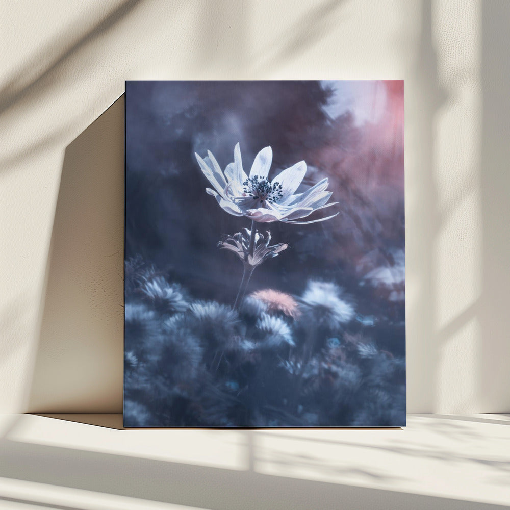 The divine sound of creation | Canvas