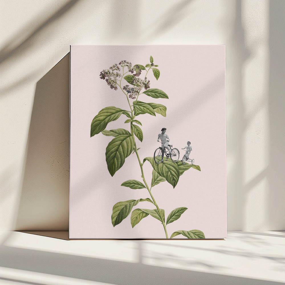 Botanical cycling | Canvas