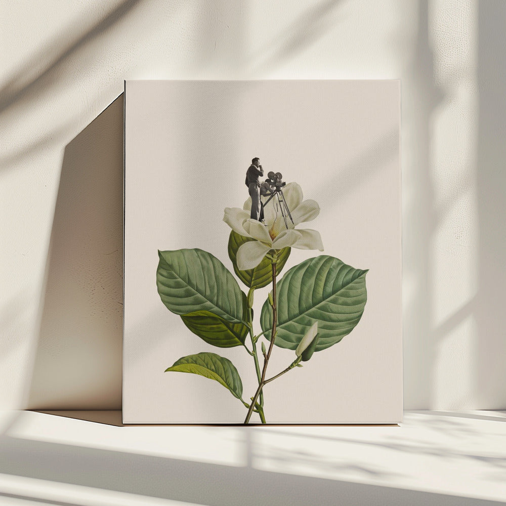 Botanical vintage cameraman | Canvas