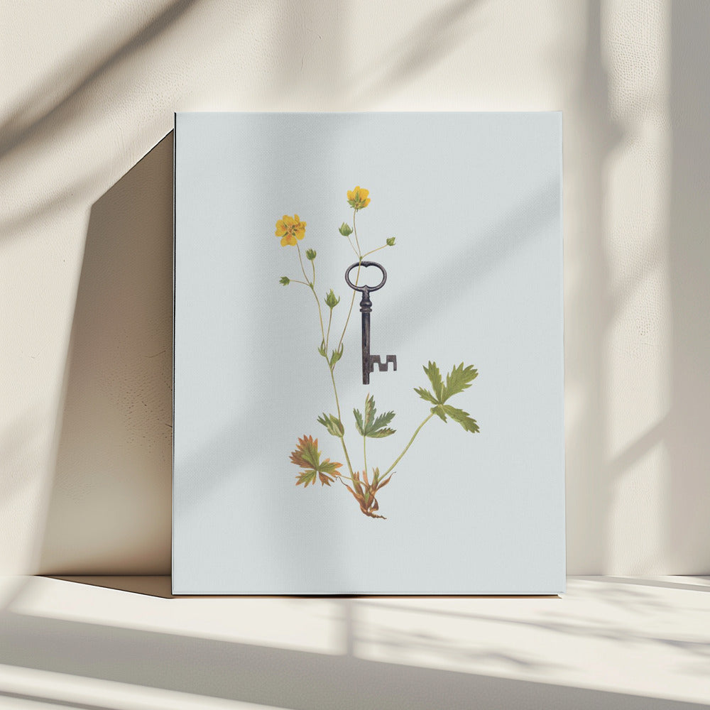 Botanical vintage key | Canvas