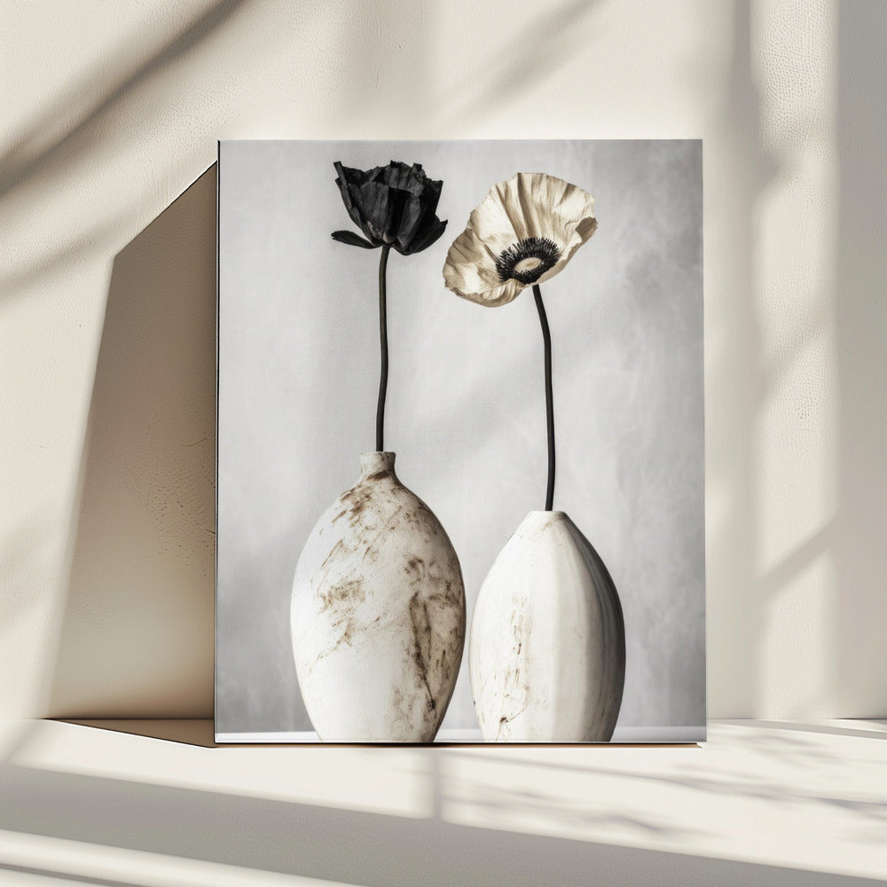 Contrasting Blooms | Canvas