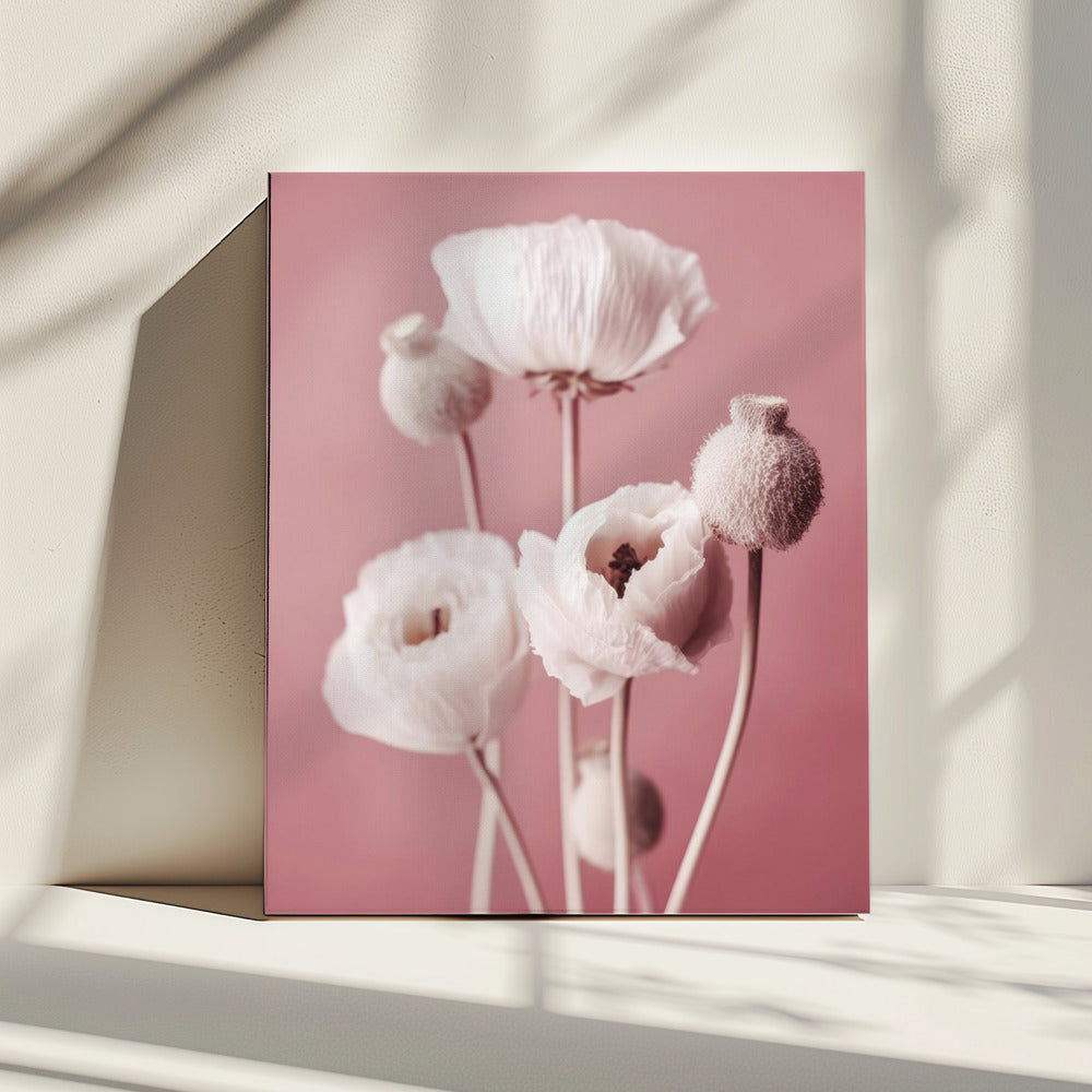 Soft Blooming Poppies | Canvas