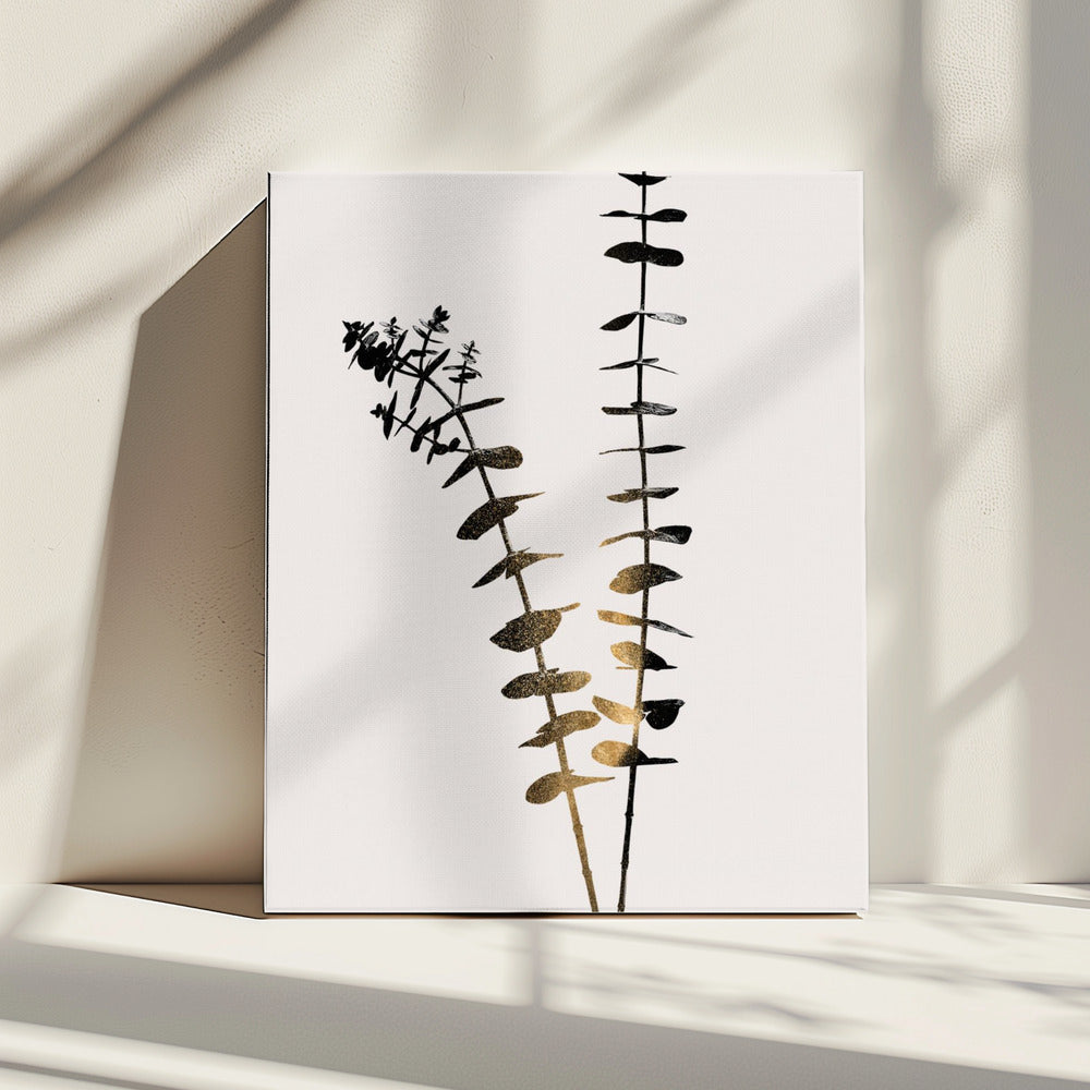 Eucalyptus Dark Gold | Canvas