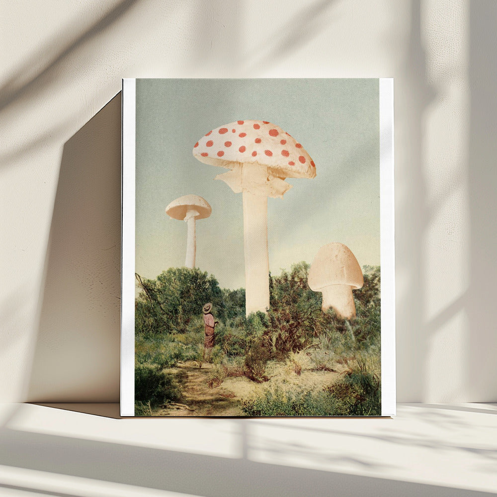 The Finest Giant Mushroom | Canvas