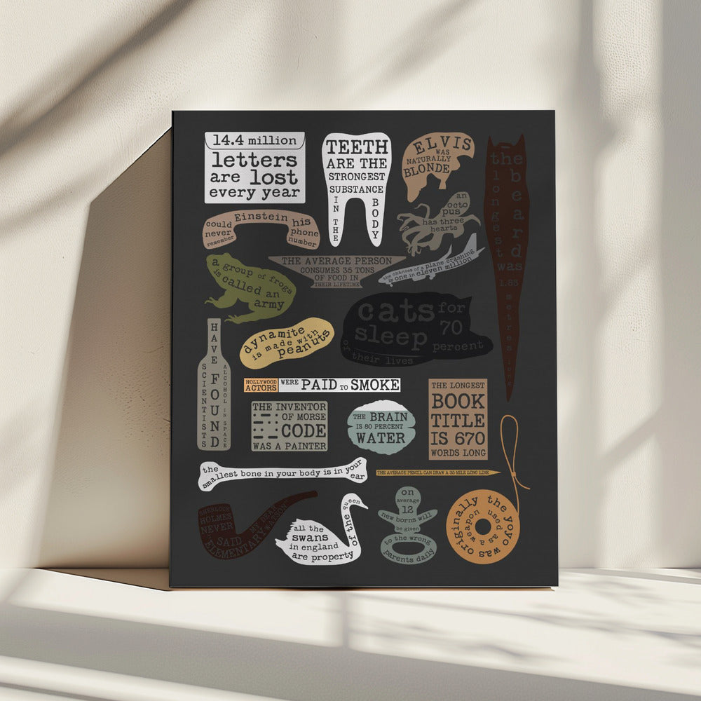 Useful Facts | Canvas