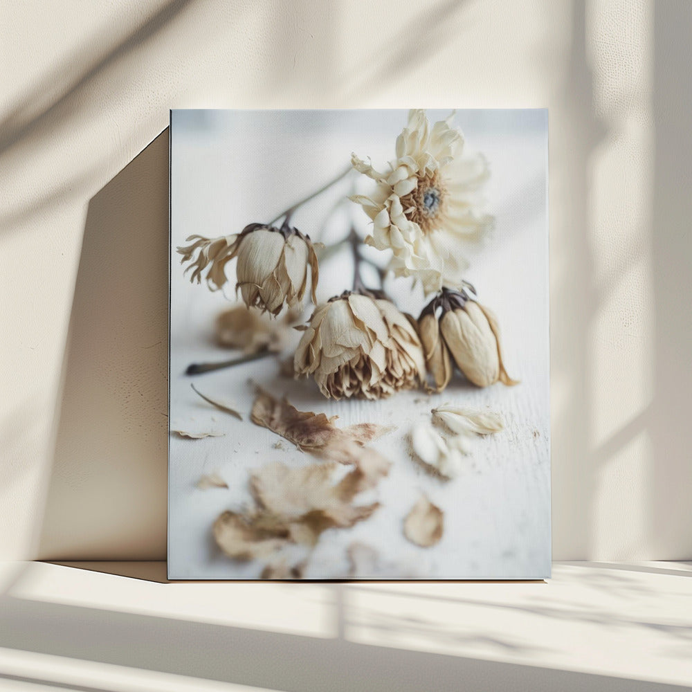 Faded Elegance | Canvas