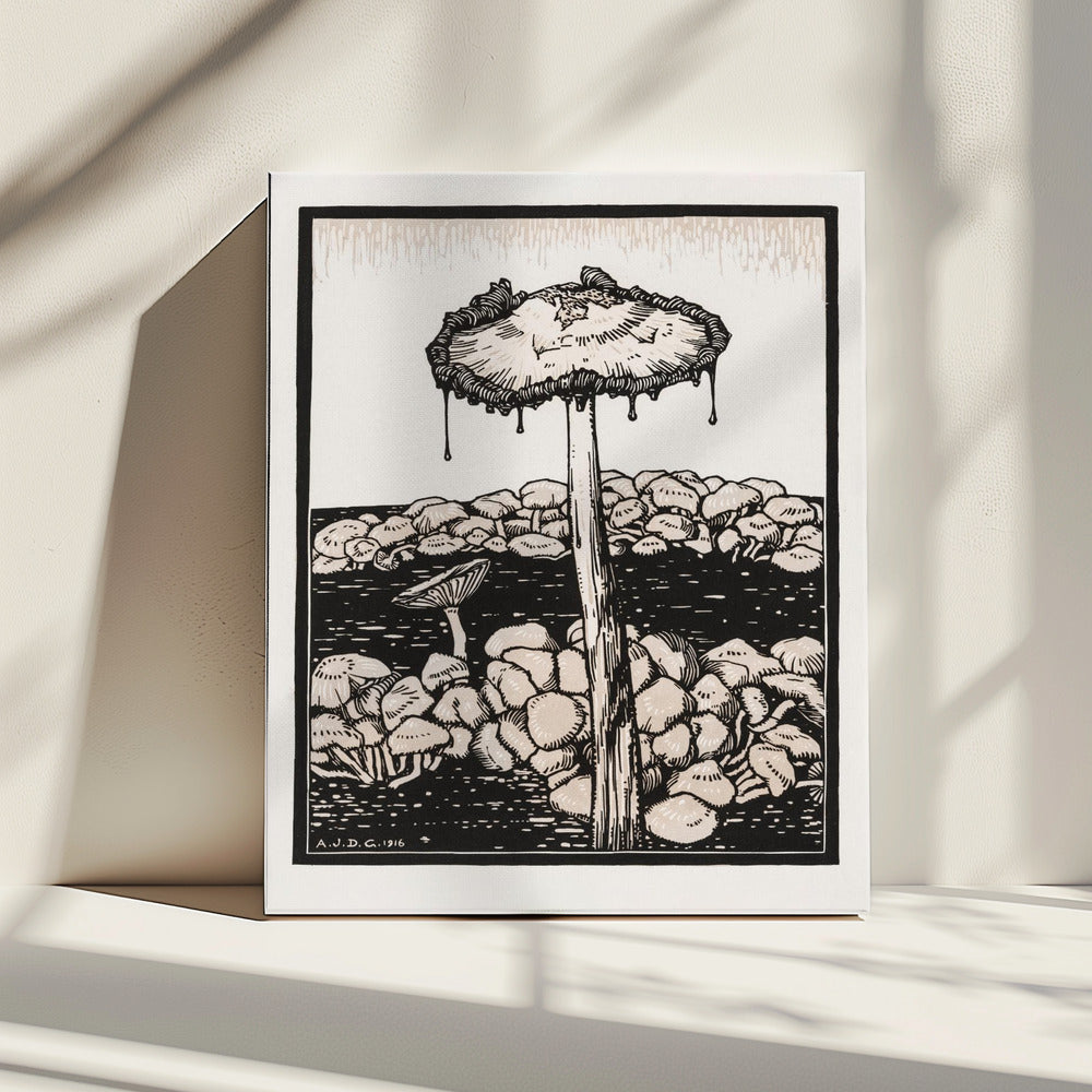 Dripping Mushroom 1916 | Canvas