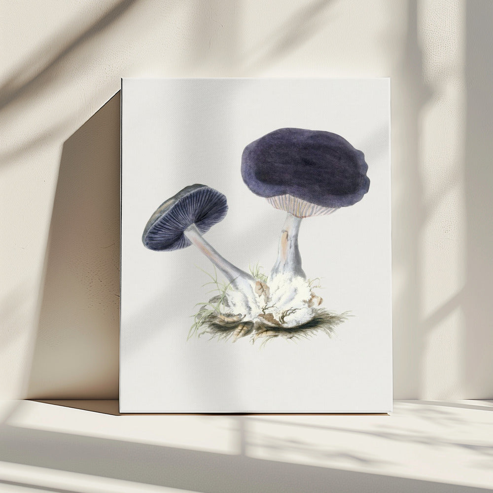 Vintage Violet Webcap Mushroom | Canvas