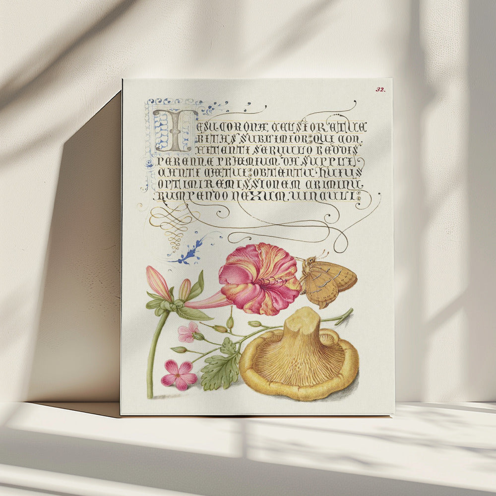 Mira Calligraphiae Monumenta | Canvas