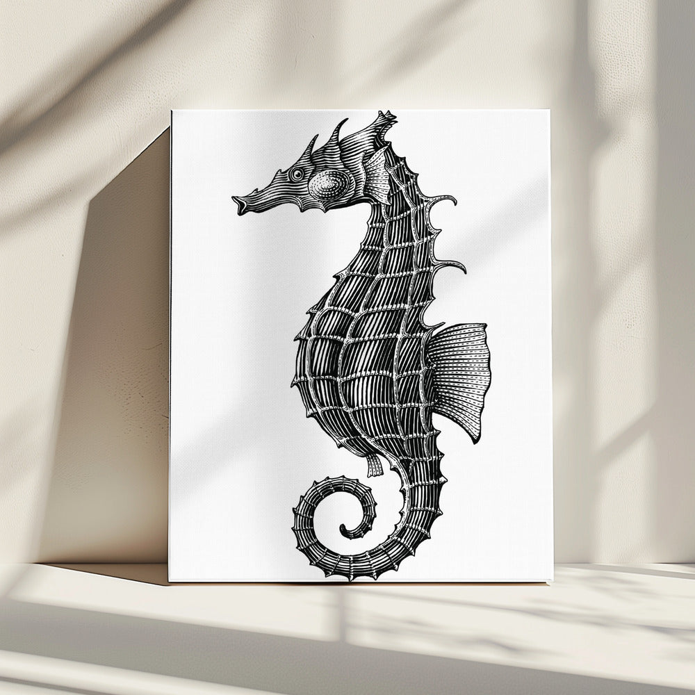 Seahorse | Canvas
