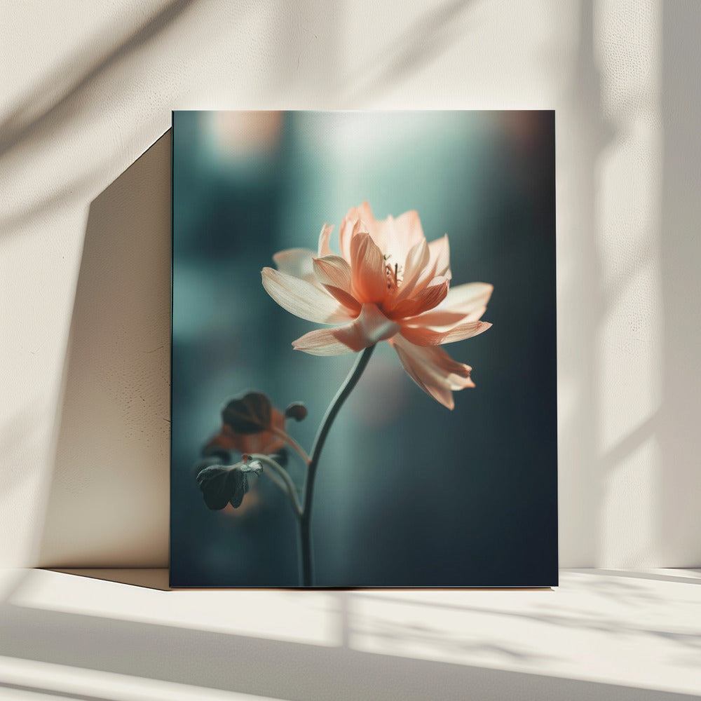 Petal Serenity | Canvas