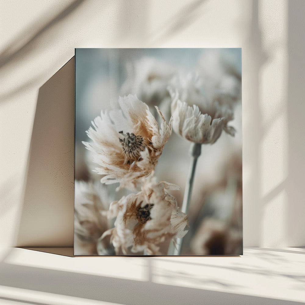 Whispering Petals | Canvas