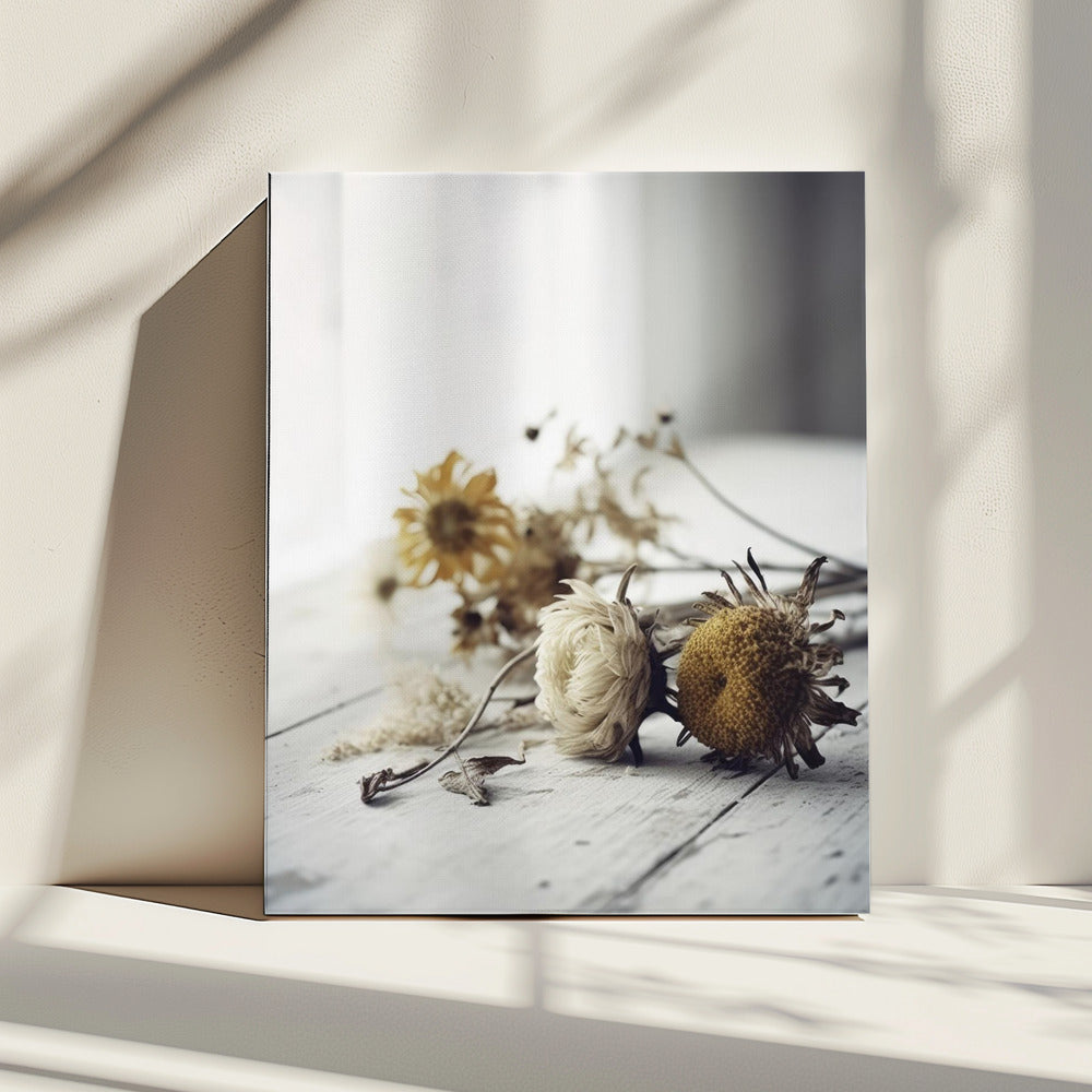 Faded Petals | Canvas