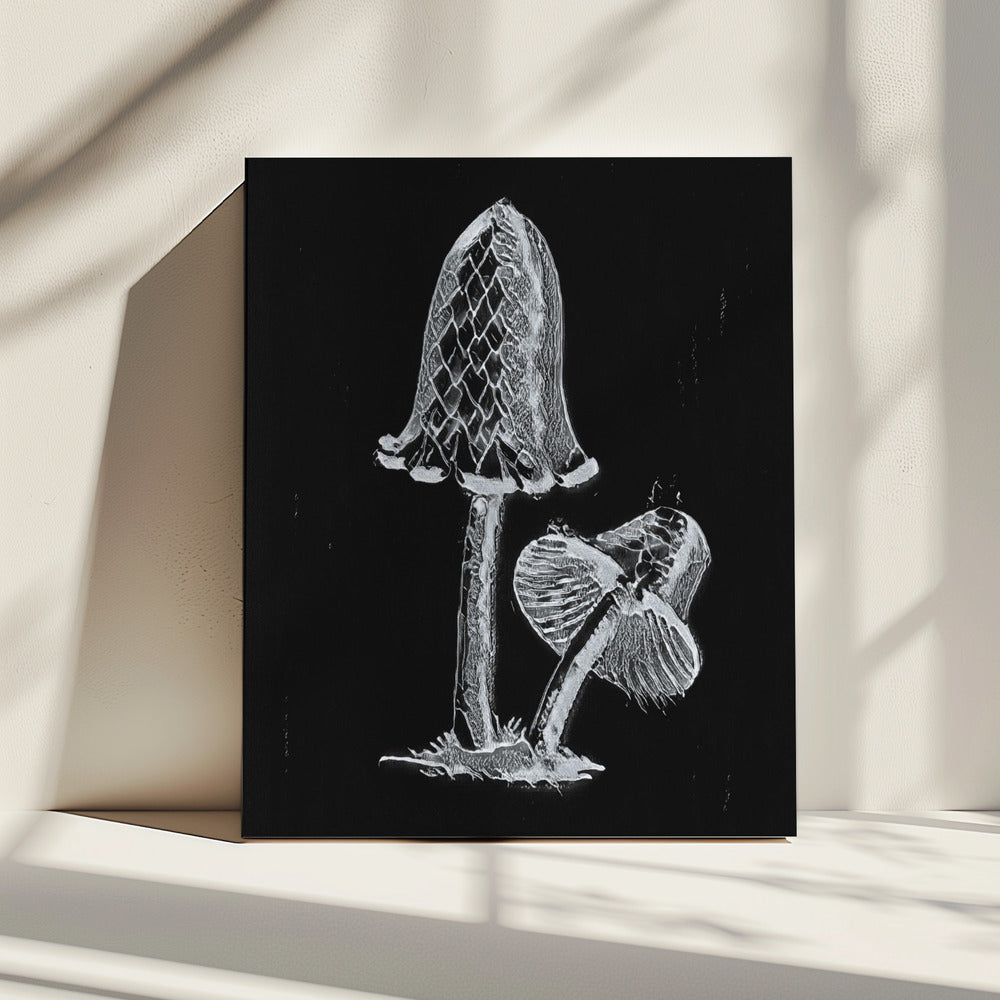 Vintage Inky Cap Edible Mushroom Dark BW | Canvas