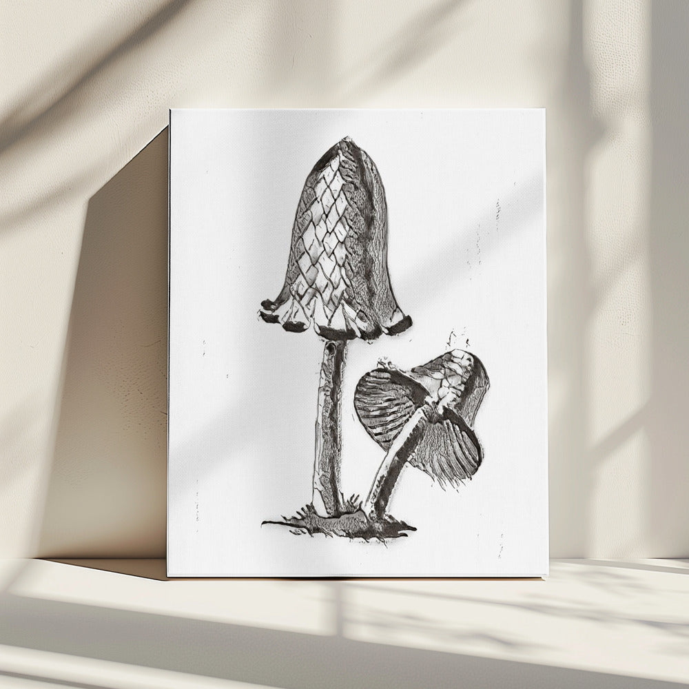 Vintage Inky Cap Edible Mushroom BW Bright | Canvas
