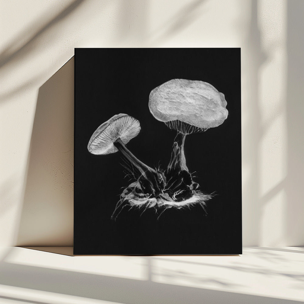 Vintage Violet Webcap Mushroom Dark BW | Canvas