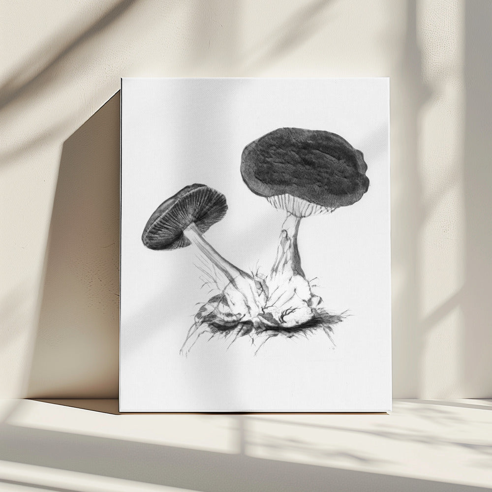 Vintage Violet Webcap Mushroom Bright BW | Canvas