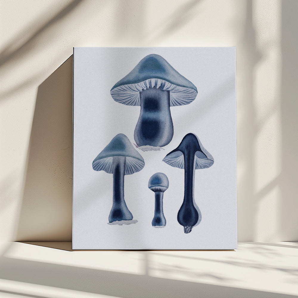 Agaricus Bulbosus - Blue | Canvas