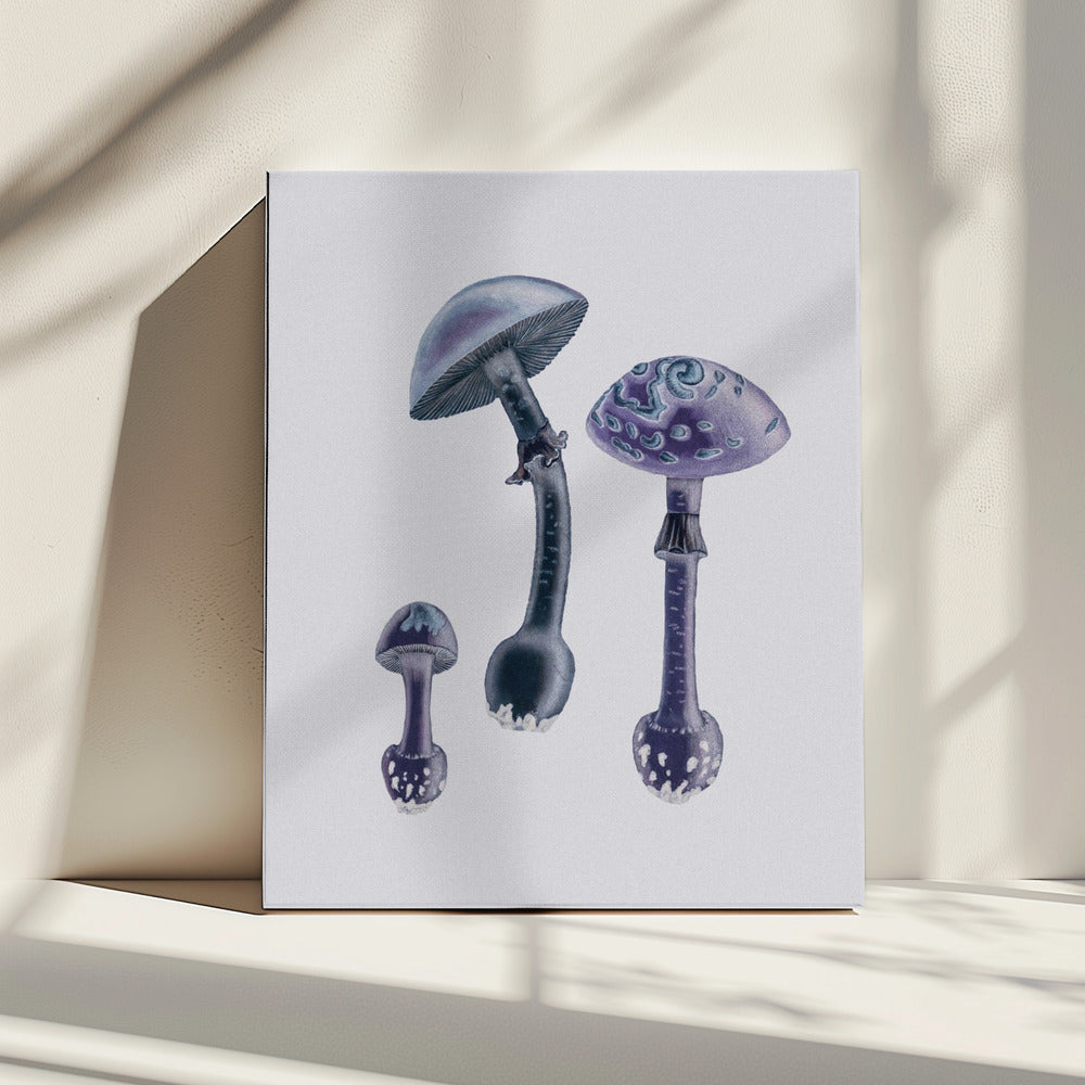 Amanita Muscaria  White Backgound Purple | Canvas