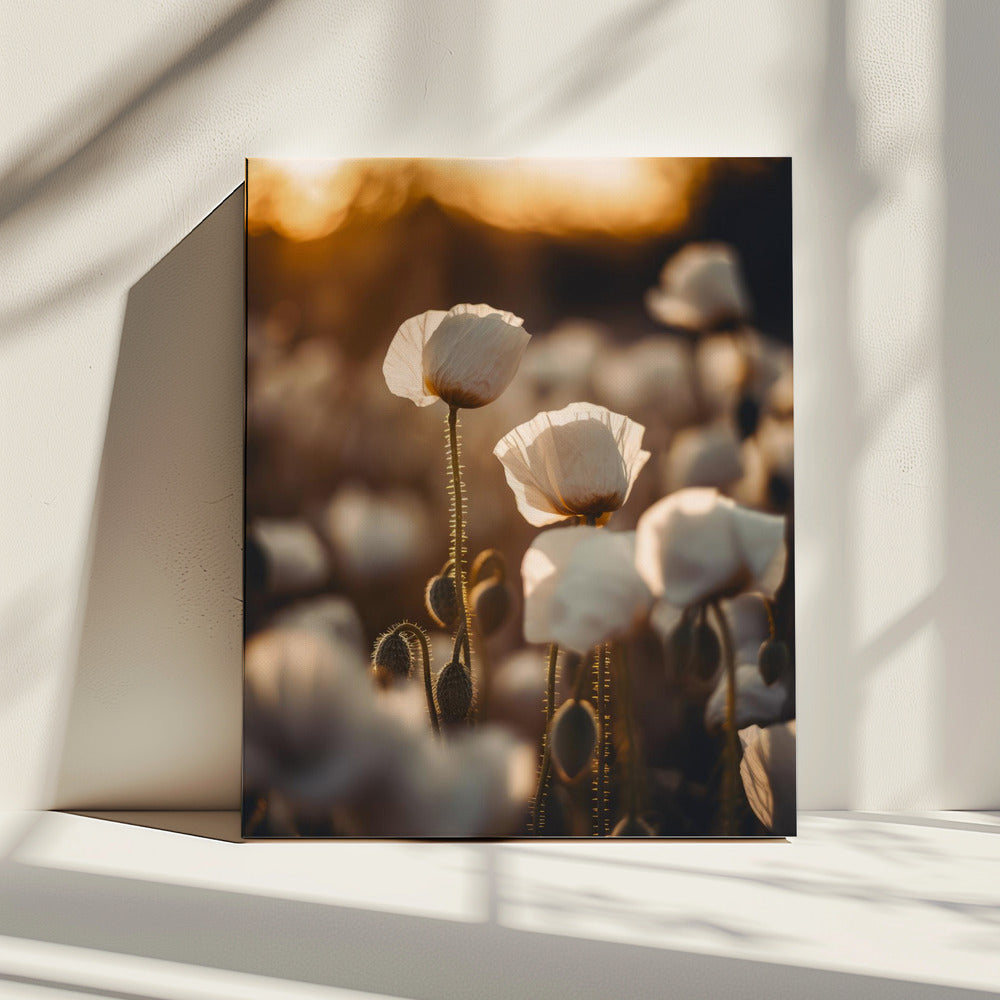 Golden Blooming Dawn | Canvas