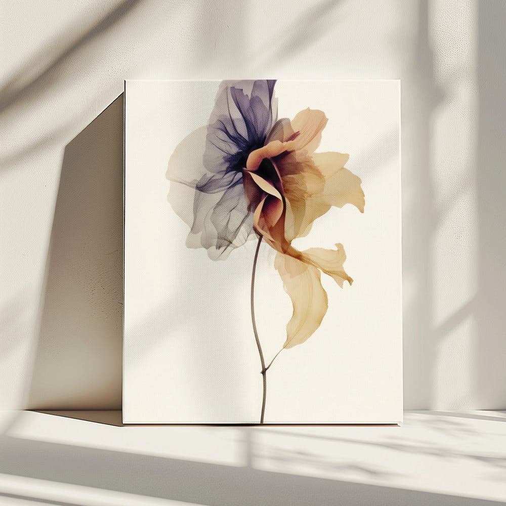 Chiffon Flower | Canvas