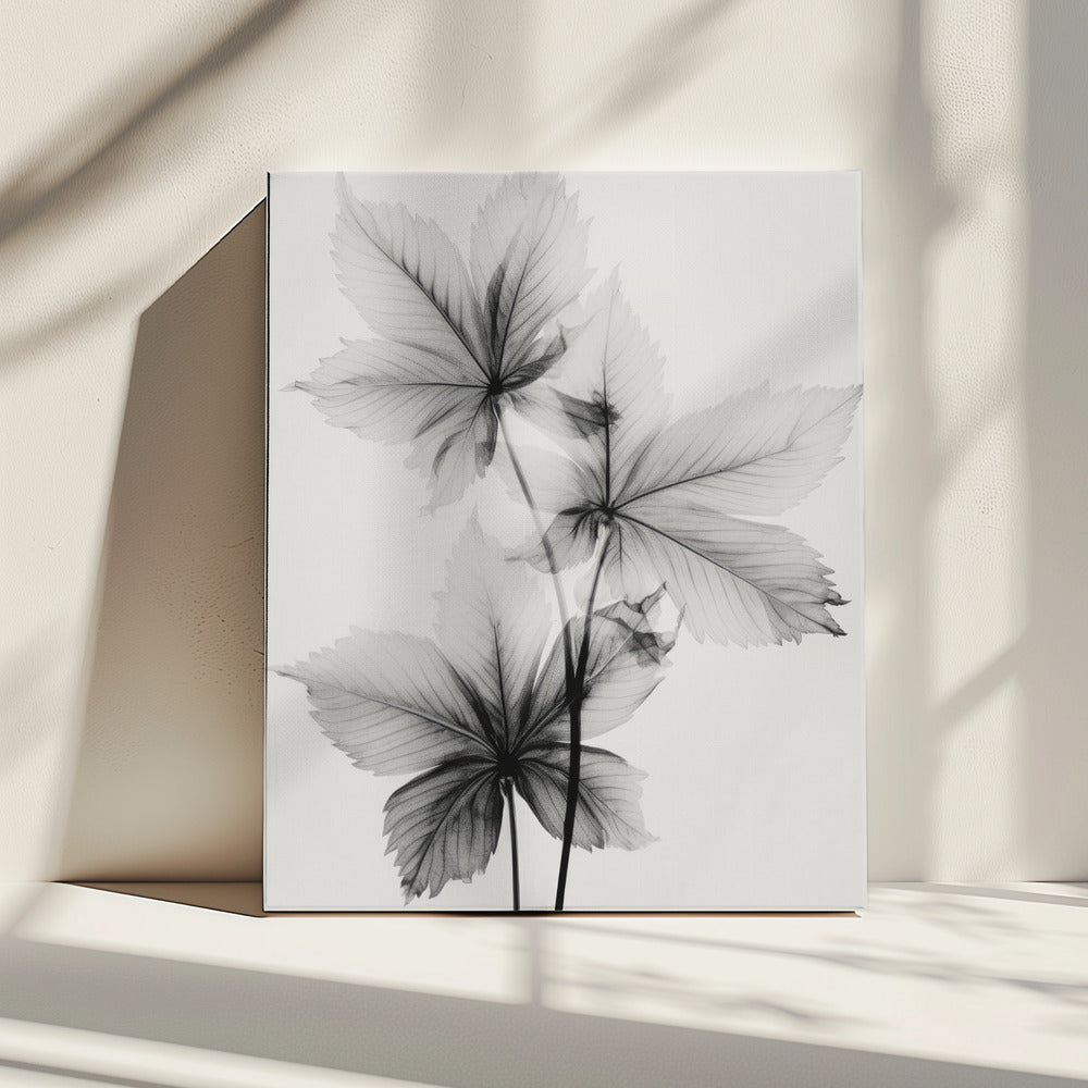 Ethereal Veins | Canvas