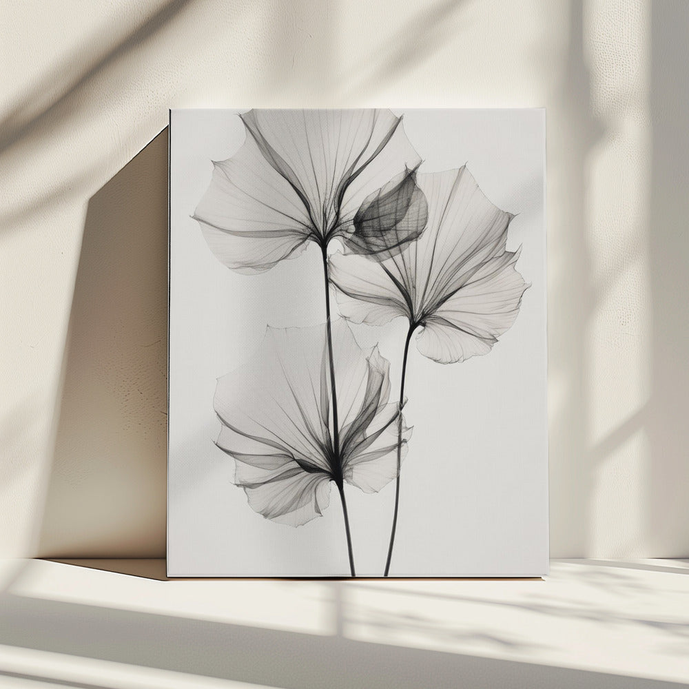 Transparent Botanic No 3 | Canvas