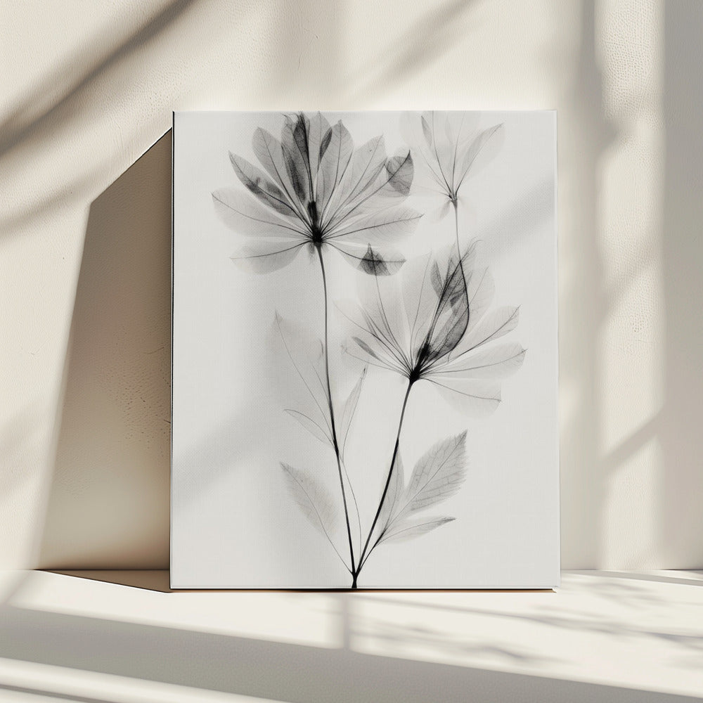 Ethereal Blossoms | Canvas