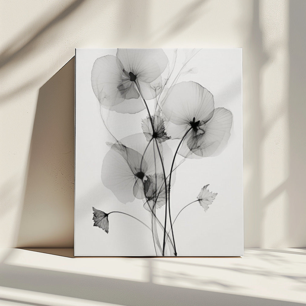 Transparent Botanic No1 | Canvas