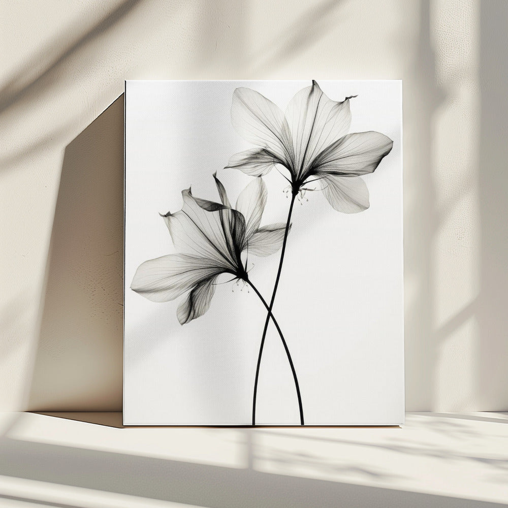 Whispers of Petals | Canvas