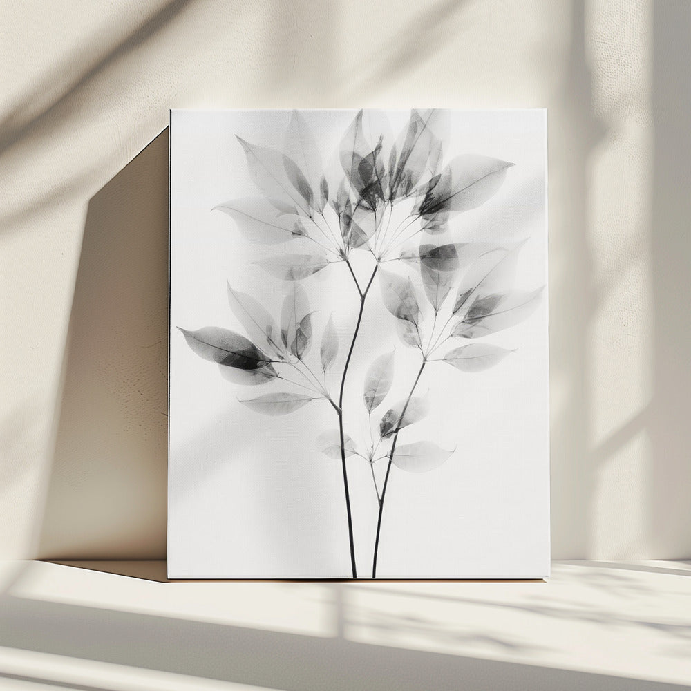 Transparent Leaves | Canvas
