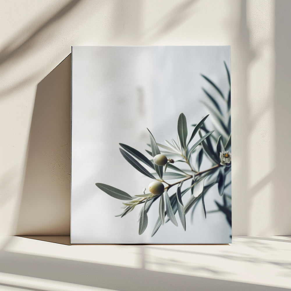 Olive Serenity | Canvas