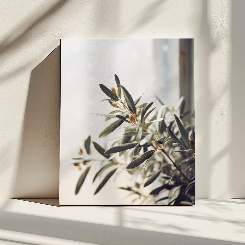 Olive Branch Light | Canvas