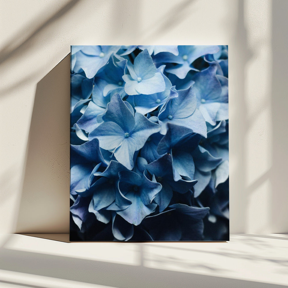 Pretty Sight Blue Hydrangea | Canvas