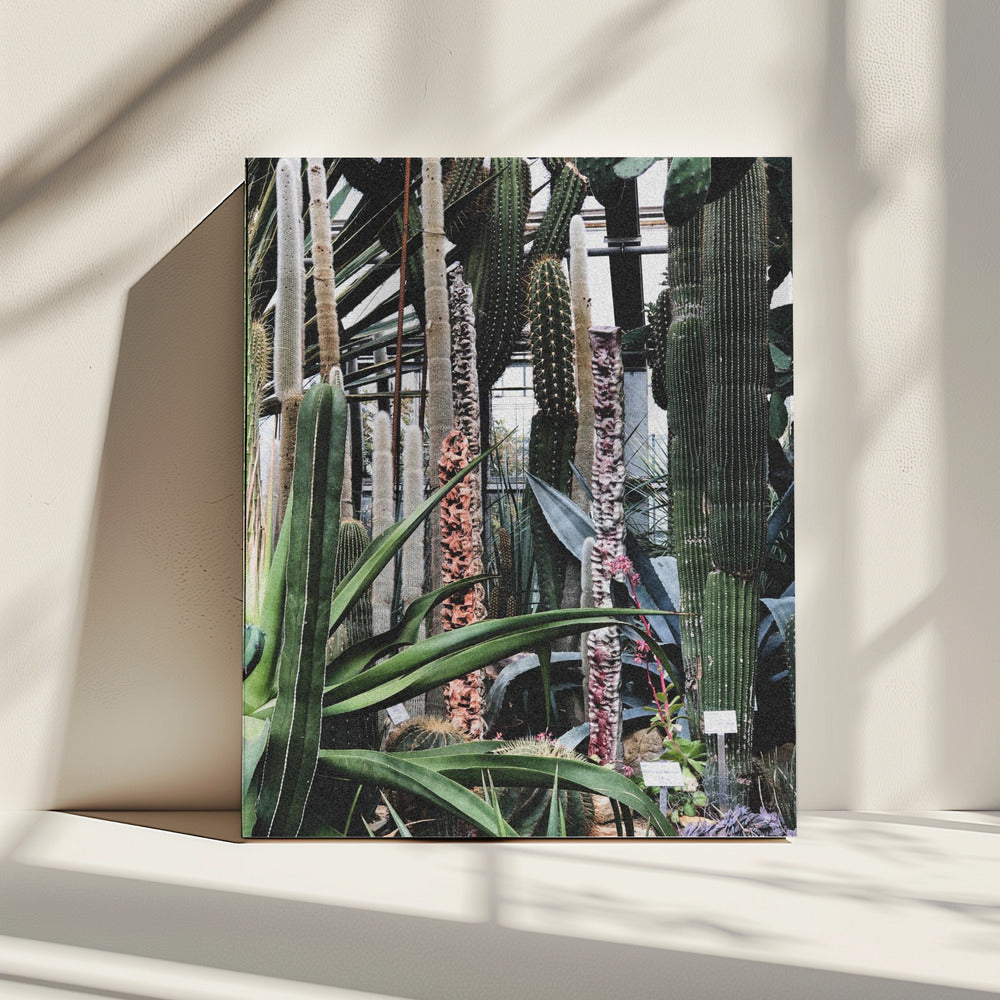 Cactus Sanctuary | Canvas