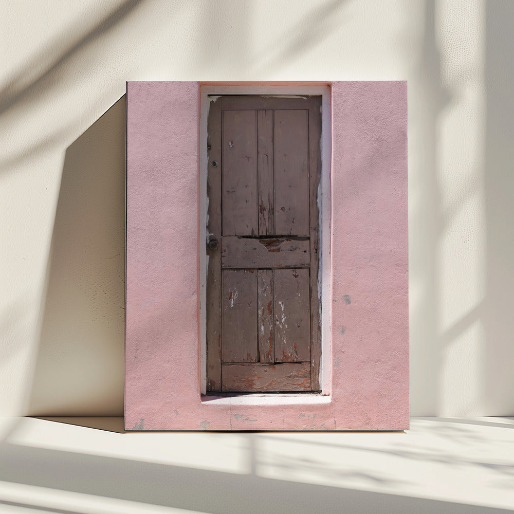 Weathered Pink Door | Canvas