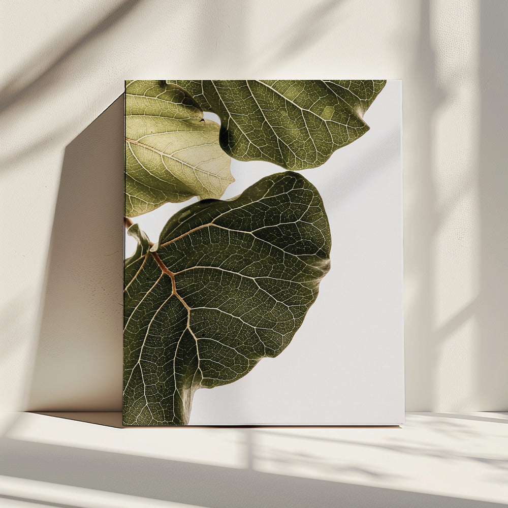 Leaf Veins Symphony | Canvas