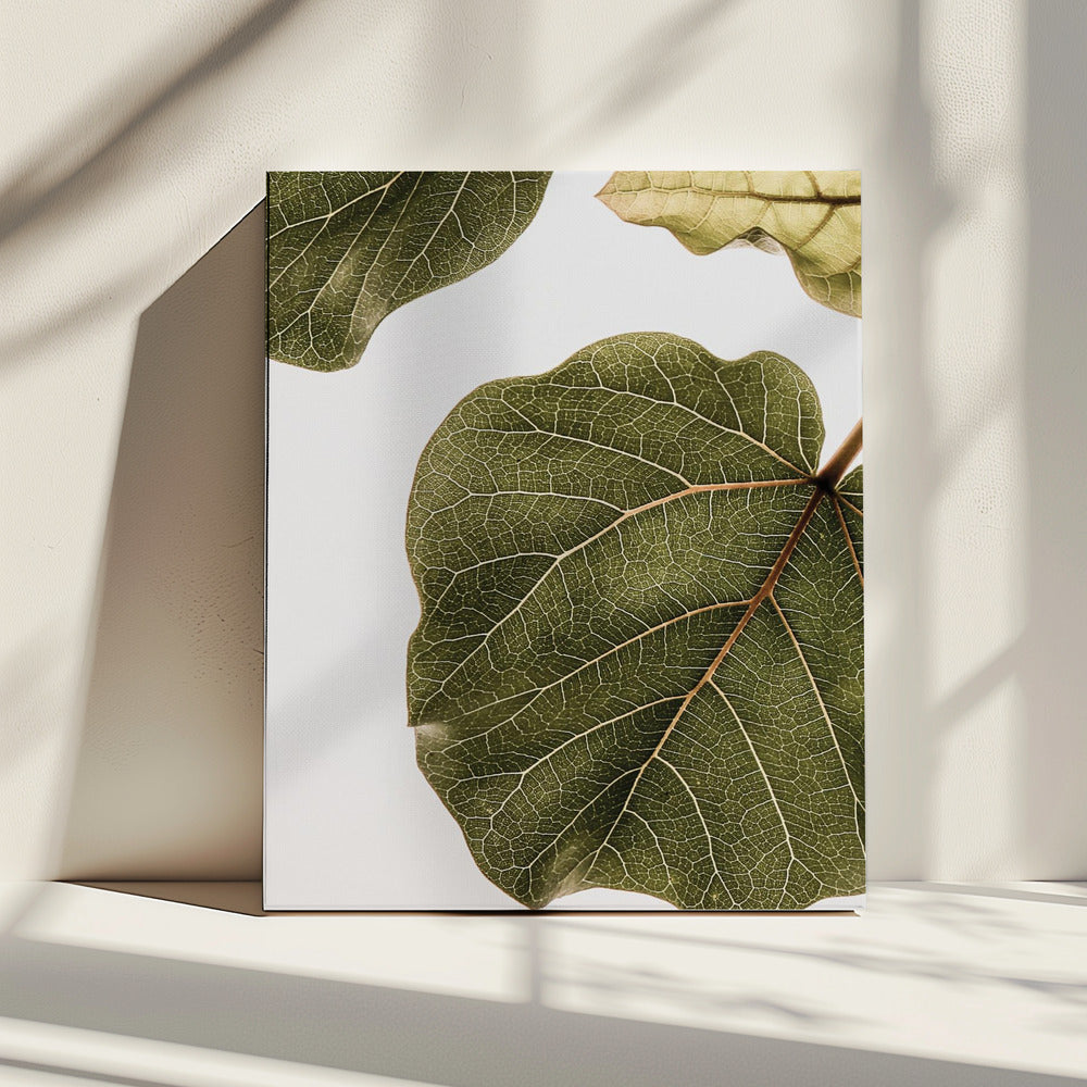 Leaf Vein Tapestry | Canvas