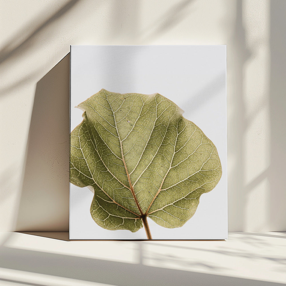 Leaf Vein Symphony | Canvas