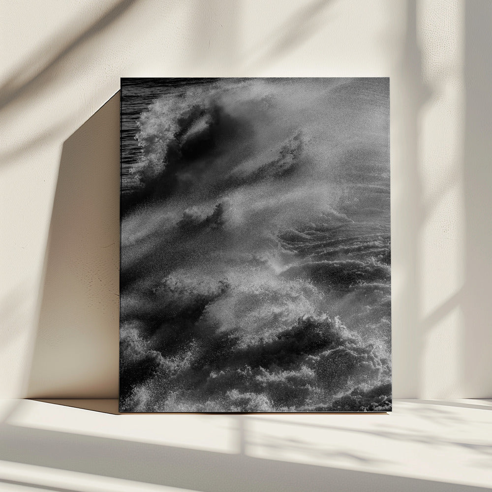 Tempest&#039;s Grace | Canvas