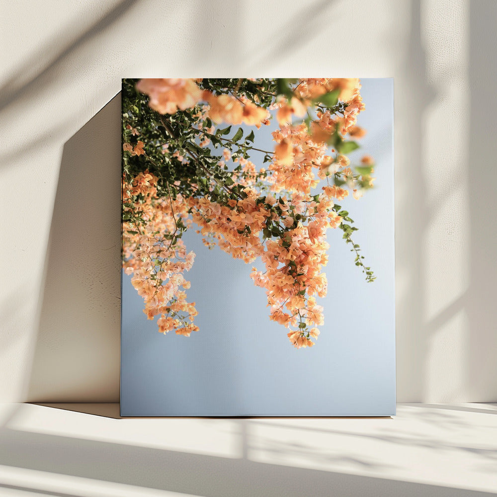 Golden Blossom Dance | Canvas