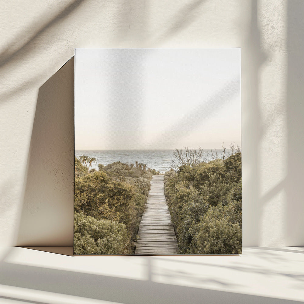 Pathway to Tranquility | Canvas